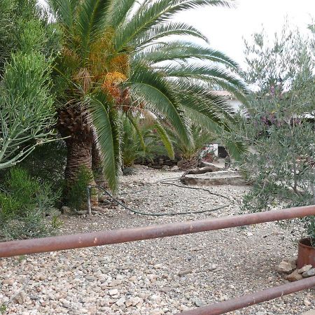 דירות Rooiklip Camp Flintstone מראה חיצוני תמונה